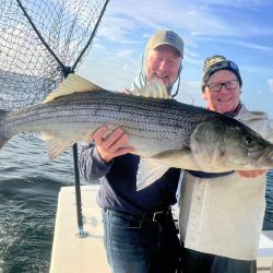 313020908 535724108564898 n