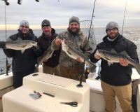 barnegat light fishing 10 20200411