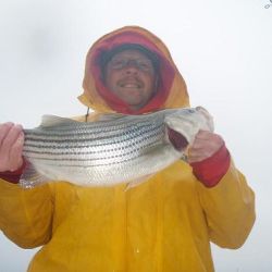 barnegat light fishing 116 20200411