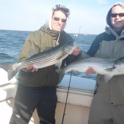 barnegat light fishing 12 20200411