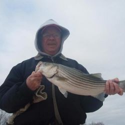 barnegat light fishing 123 20200411