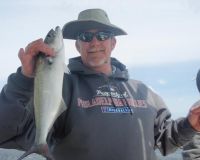 barnegat light fishing 131 20200411