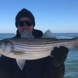 barnegat light fishing 14 20200411