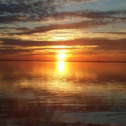 barnegat light fishing 145 20200411