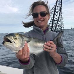 barnegat light fishing 15 20200411