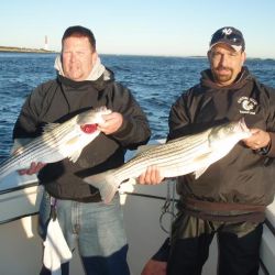 barnegat light fishing 152 20200411