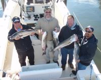 barnegat light fishing 159 20200411