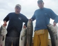 barnegat light fishing 177 20200411