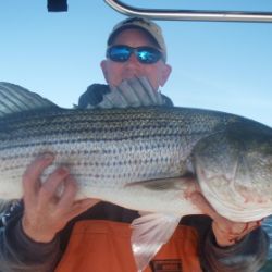 barnegat light fishing 195 20200411