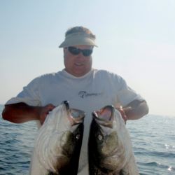 barnegat light fishing 32 20200411