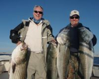 barnegat light fishing 45 20200411