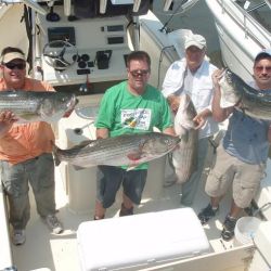 barnegat light fishing 65 20200411