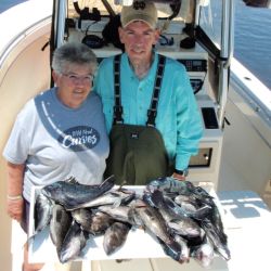 barnegat light fishing 7 20200411