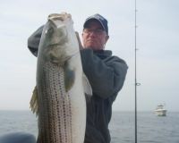 barnegat light fishing 80 20200411