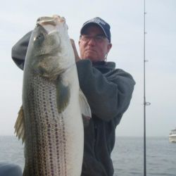 barnegat light fishing 80 20200411